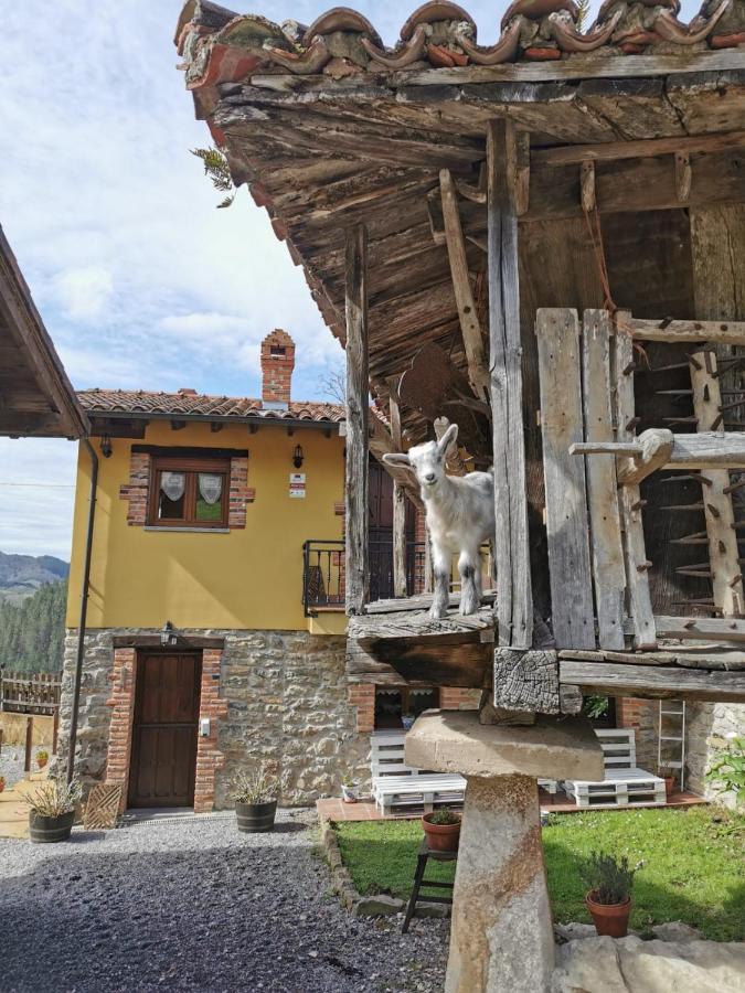 Carroceu Rural Apartment Cangas de Onis Exterior photo