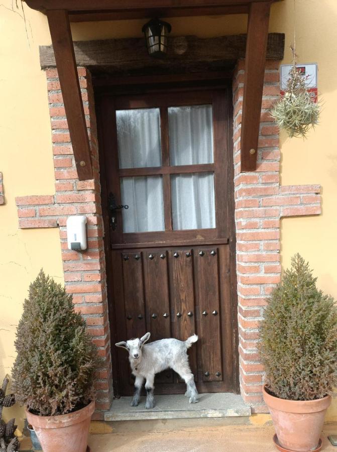 Carroceu Rural Apartment Cangas de Onis Exterior photo